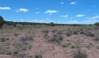 Tbd Ranch of the White Mountains, Concho, AZ 85924