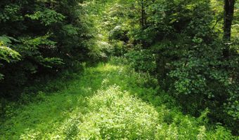 00 Tbd Long Shoal Br, Beattyville, KY 41311