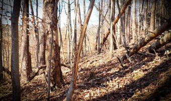 Virginia Ave lot 75, Bassett, VA 24055