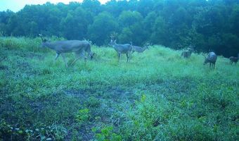 22 Hwy, Adamsville, TN 38310