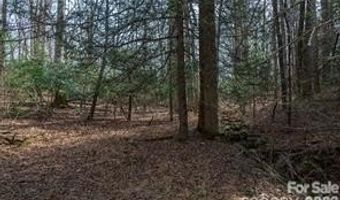 Ball Gap Road, Arden, NC 28704