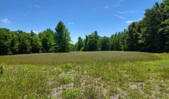 County Road 38, Autaugaville, AL 36003