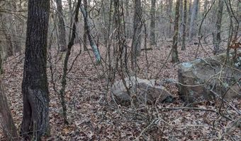 0 Water Tower Rd, Atkins, AR 72823