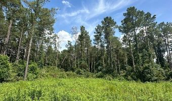 216 County Road 201 Rd, Ariton, AL 36010