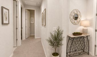 1131 S JAY St, Chandler, AZ 85286