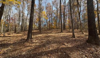 9- A Dulwich Dr, Amherst, VA 24521