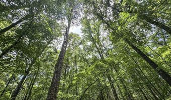 Pine Lodge Road, Batesville, MS 38606