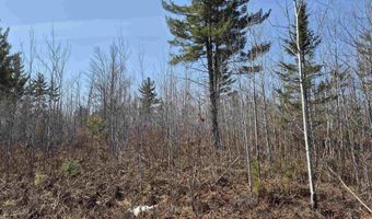 26 Acres Hilltop Kelso, Crystal Falls, MI 49920