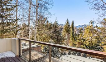 25 Nighthawk Dr, Aspen, CO 81611