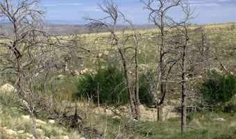 nhn Ranger Way lot Bvr 942-3, Belfry, MT 59008