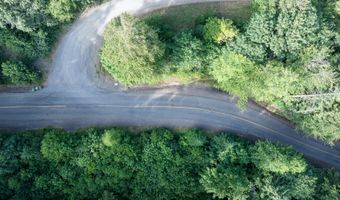 N Dubois Rd, Ariel, WA 98603