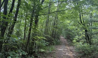 760 Cliff Top Trl, Andrews, NC 28901