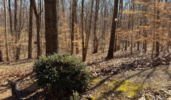 3210 CEDAR GAP Ln, Birdseye, IN 47513