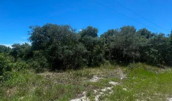 2530 N Todd Rd, Avon Park, FL 33825