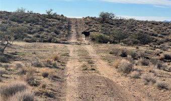 308-12 169 N Lost Mine Dr, Chloride, AZ 86431
