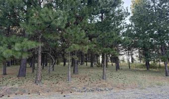 Harlow Ridge Rd - Cloverland Estates 26, Asotin, WA 99402