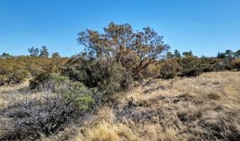 0 Anza Trail West Rd, Anza, CA 92539