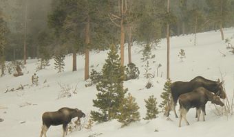 200 Kimwood Rd, Black Hawk, CO 80422