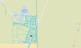 SE 309 Avenue, Altoona, FL 32702