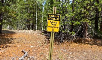 20 Paint Brush Dr, Black Hawk, CO 80422