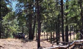 Tbd STONE CREEK RD CR 2117, Alpine, AZ 85920