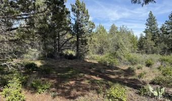 Porpoise Lane lot 29, Bonanza, OR 97623