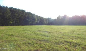 504 247 Country Rd, Bruce, MS 38915