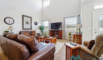 308 Baler Ln, Carlsbad, NM 88220