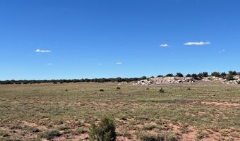 002 N9027, Concho, AZ 85924