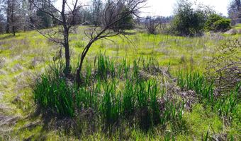 17435 Lassen Ave, Anderson, CA 96007