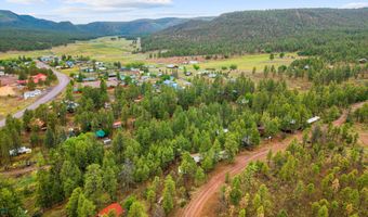29 N 2058, Alpine, AZ 85920