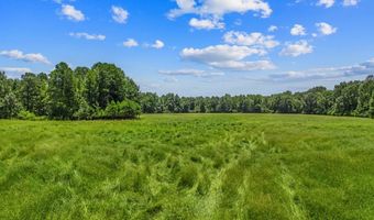 522 CR 2717, Alto, TX 75925