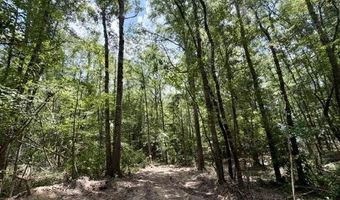 SE Lee Drive, Bogue Chitto, MS 39629