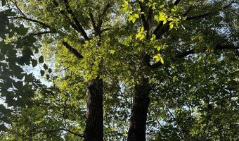 Lot 2B Gidsville Road, Amherst, VA 24521