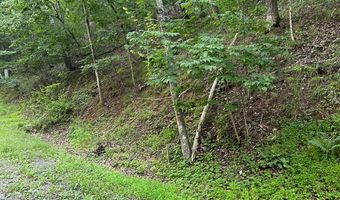 Lot 161 LEE RD, Basye, VA 22810