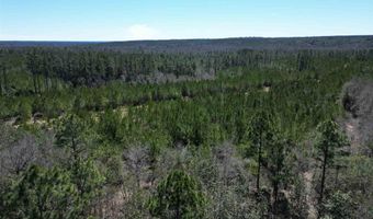 4 Robinsonville Rd, Atmore, AL 36502