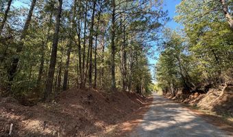 Old Camden Rd, Carthage, MS 39051
