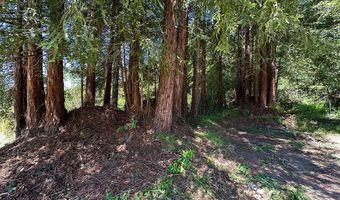 5601 Freedom Blvd, Aptos, CA 95003