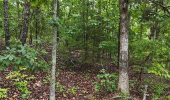 County Road Jj-416, Ava, MO 65608
