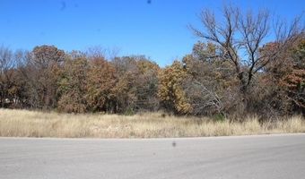 450 Rolling Hills Blvd, Alvord, TX 76225