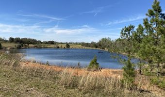 00 County Road 137, Abbeville, AL 36310