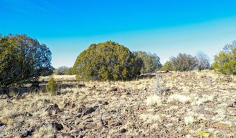 Lot 102 Raz Road, Ash Fork, AZ 86046