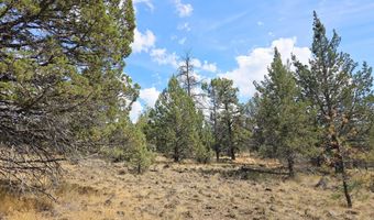 Canvasback Drive 32, Bonanza, OR 97623