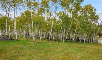 331 Bluebird Ln, Bailey, CO 80421