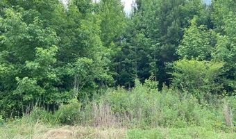 Lot 1-B Daniels Lane, Bennettsville, SC 29512