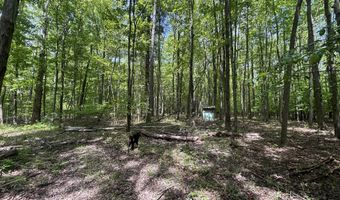 V/L 43.5A 104th Avenue, Allegan, MI 49010