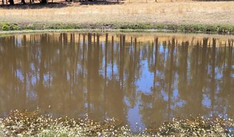 Tbd STONE CREEK RD CR 2117, Alpine, AZ 85920