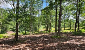 0 Woodland Hills Rd, Andes, NY 13731
