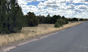 5 Clubhouse Ln, Concho, AZ 85924