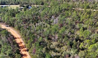 Grand Mesa Avenue, Alford, FL 32420